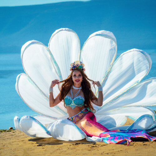 mermaid