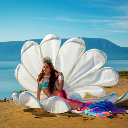 mermaid