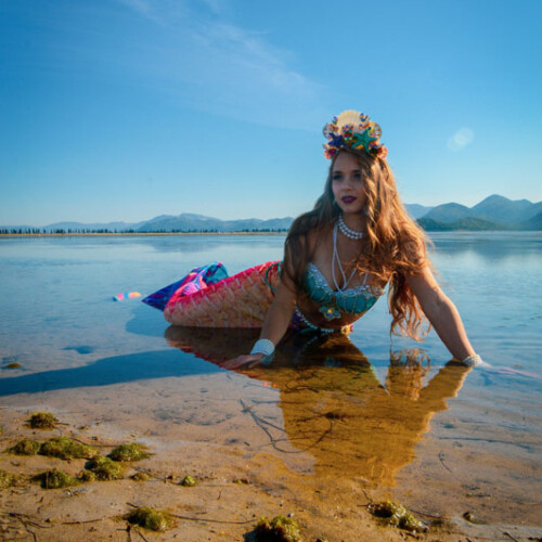 mermaid