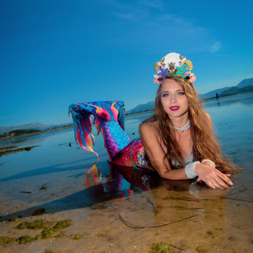 mermaid