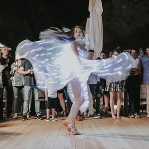 Led Wings performance