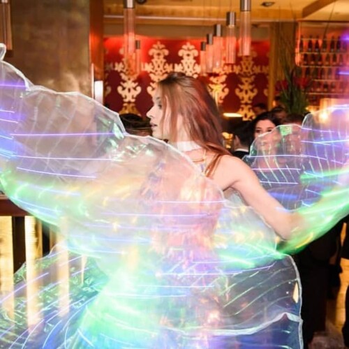 Led Wings performance