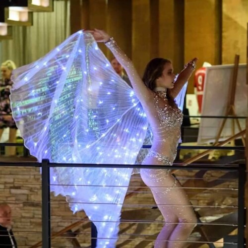 Led Wings performance