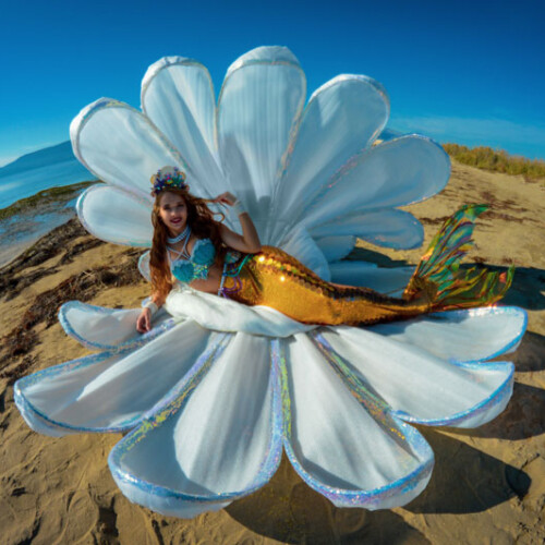 Mermaid show