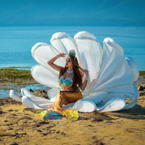 Mermaid show