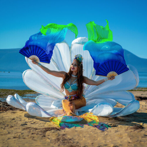 Mermaid show