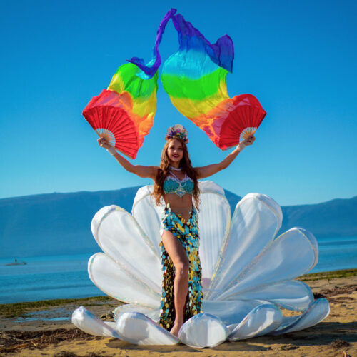 Mermaid show