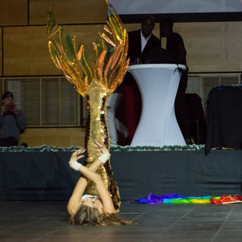 mermaid performance