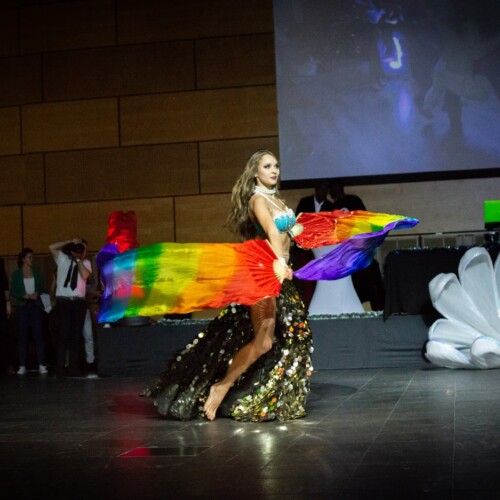 Belly Dance with led fan veils
