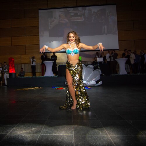 mermaid performance