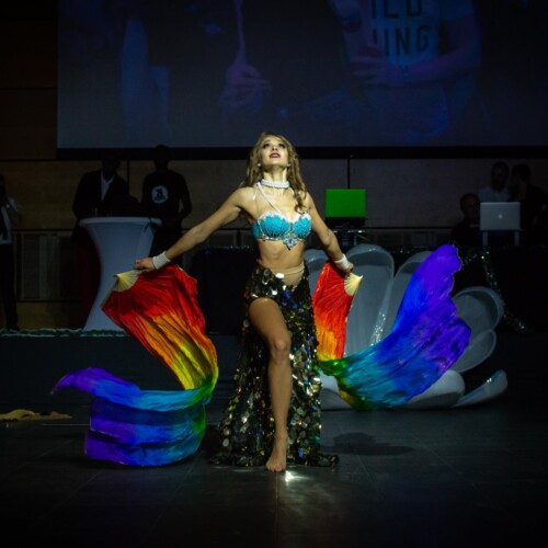 Belly Dance with led fan veils
